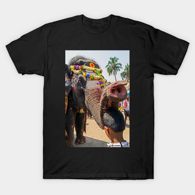 Elephant Blessing. T-Shirt by bulljup